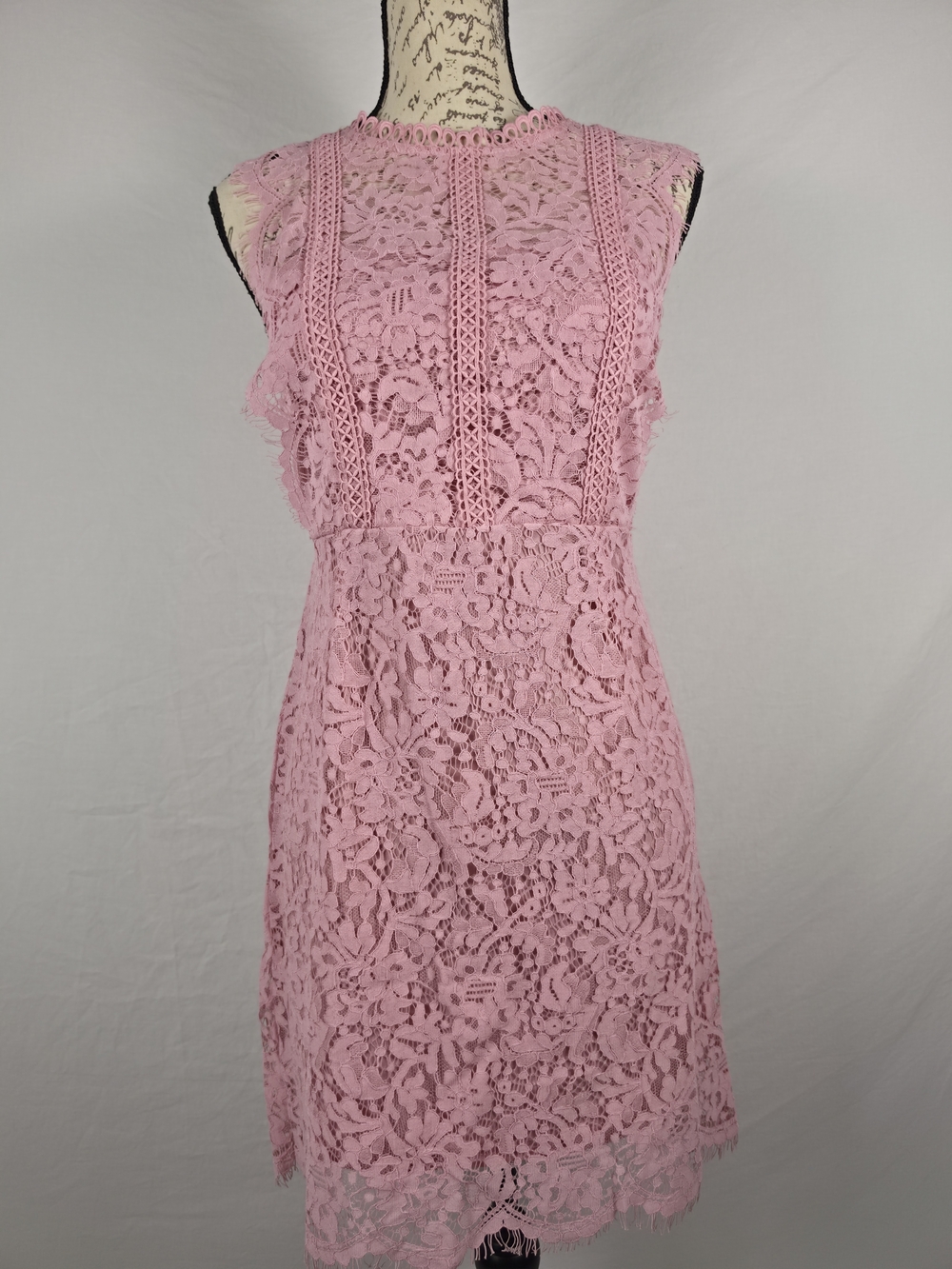 Blu Pepper Pink Scallop Lace Mini Dress NWT - Size L